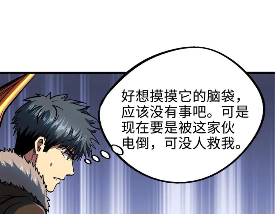 186 卵生狐狸142