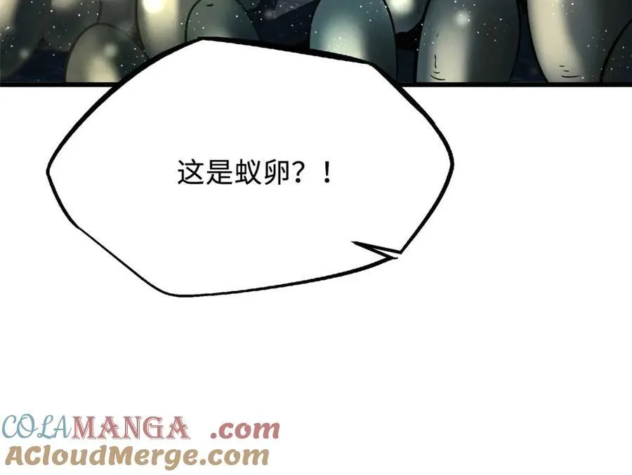 250 蚁巢136