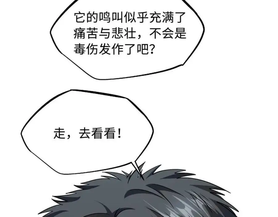 211 不期而遇的珍宝71
