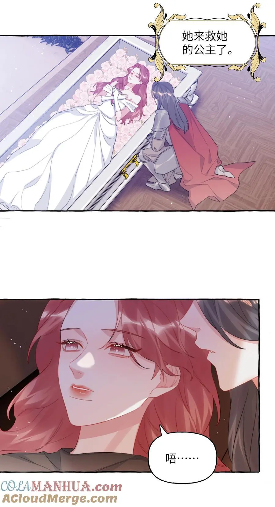114 她来救她的公主了28