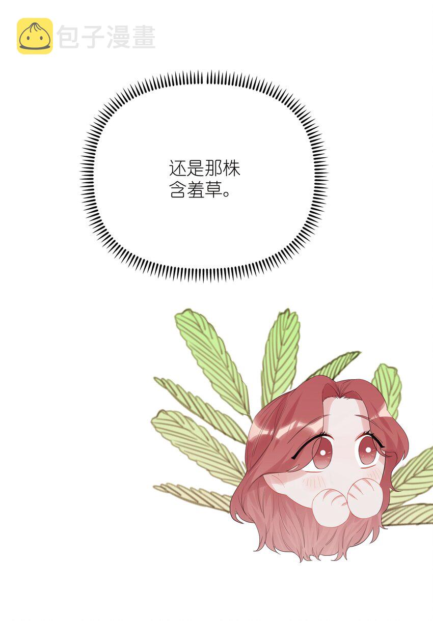 016 还是那颗含羞草35