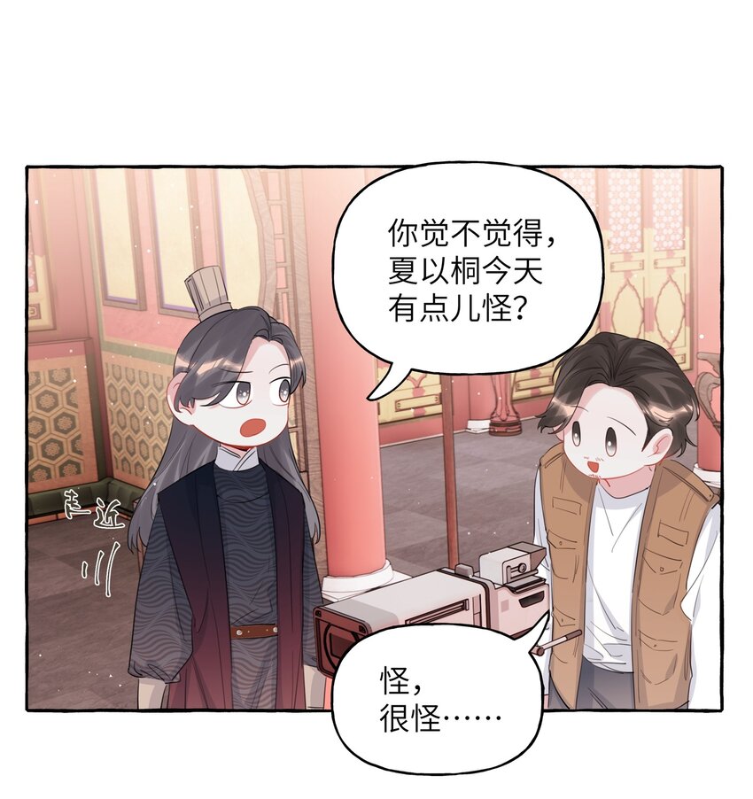 055 棉花糖23