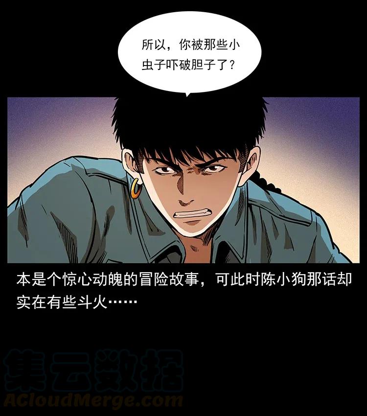 317 大漠凶兽28