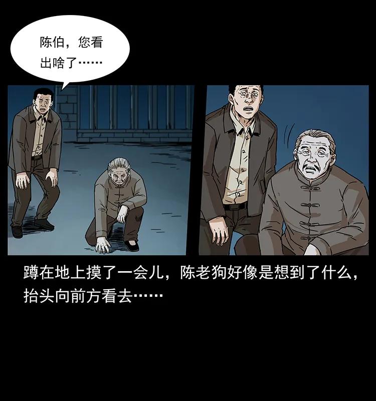 230 生桩50