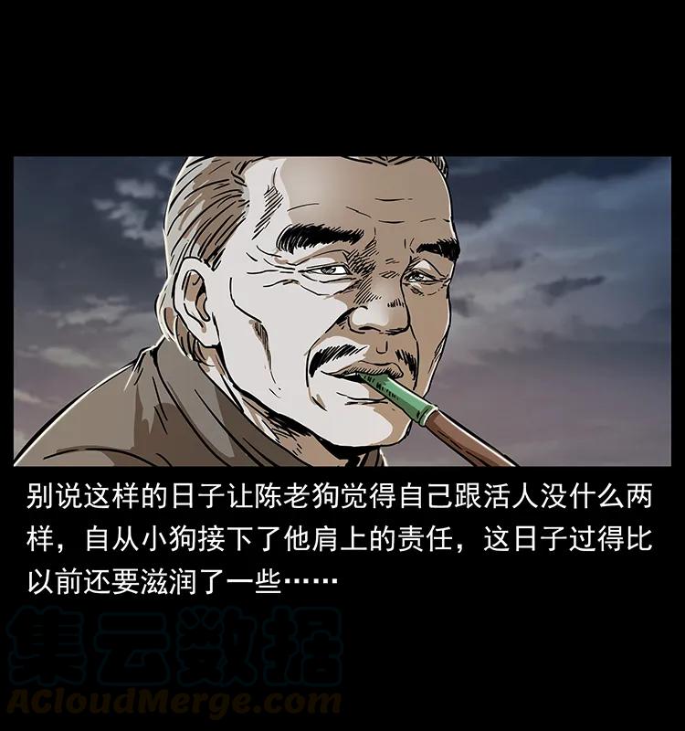 230 生桩4