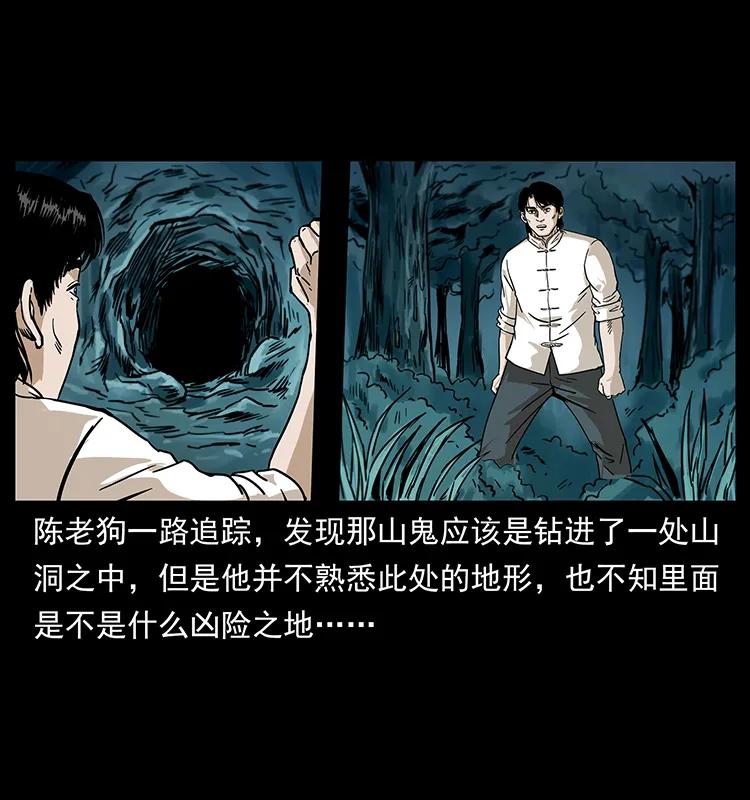 231 东海木龙17