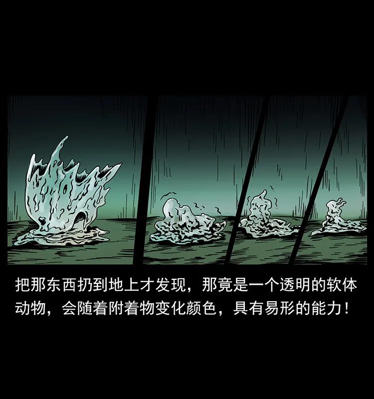 189 龙家的实力62