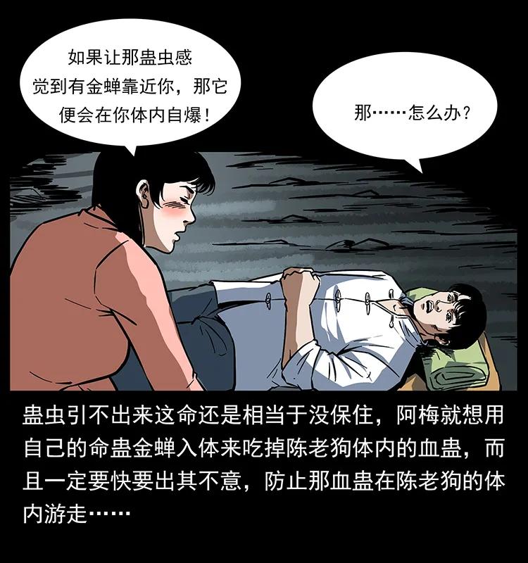 167 陈老狗遇险55