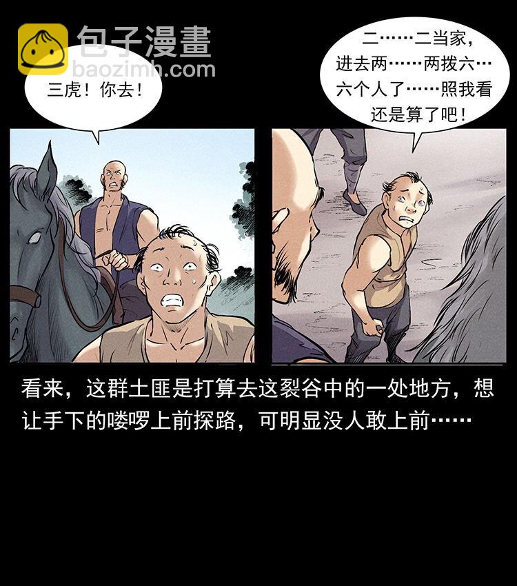外传 洛生传2 土匪，土匪15