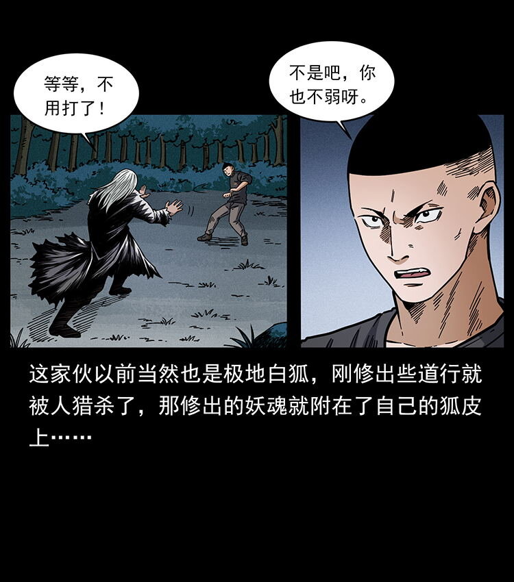 486 人与狐52