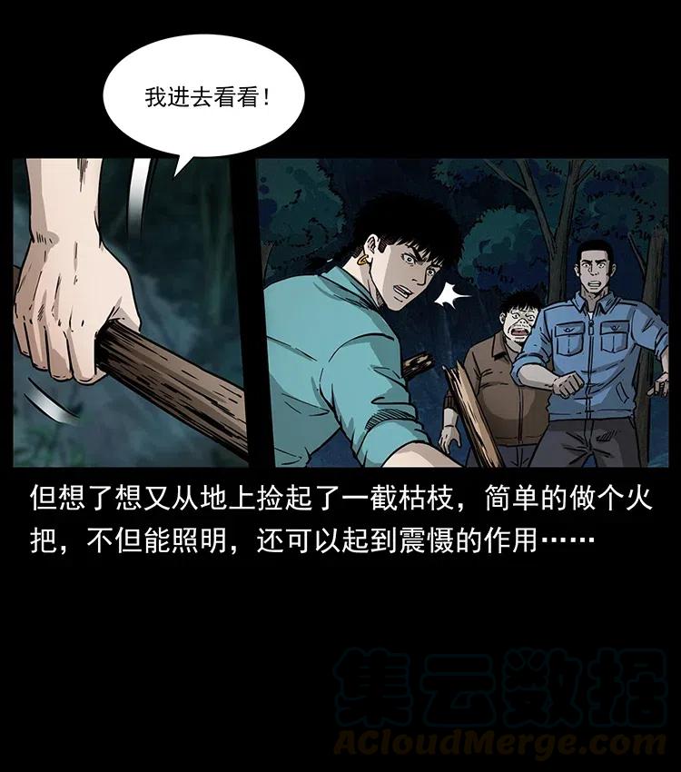 342 白毛僵尸12