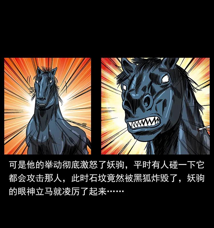158 妖驹的选择43