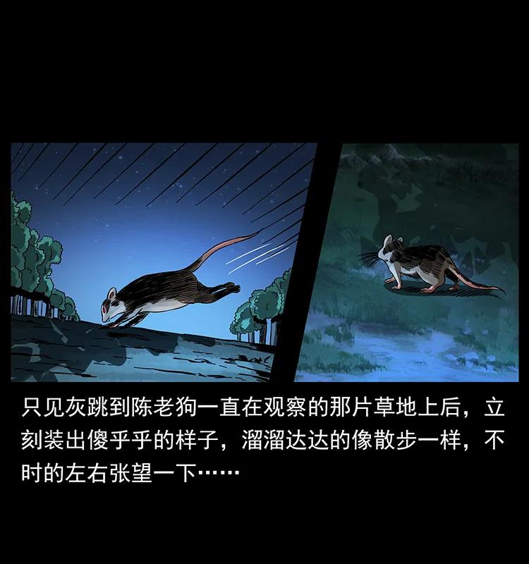 163 陈老狗下南疆7
