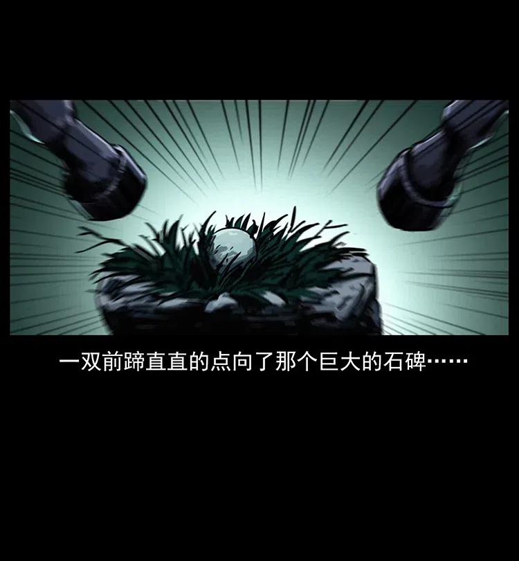 370 乌翅凤凰40