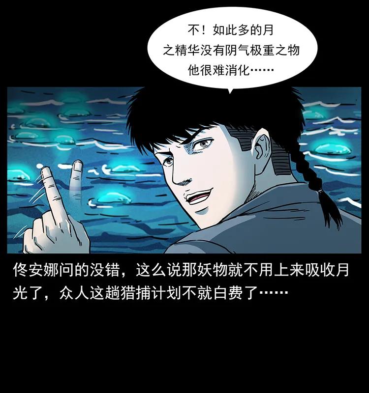 240 意外频发的诱捕63