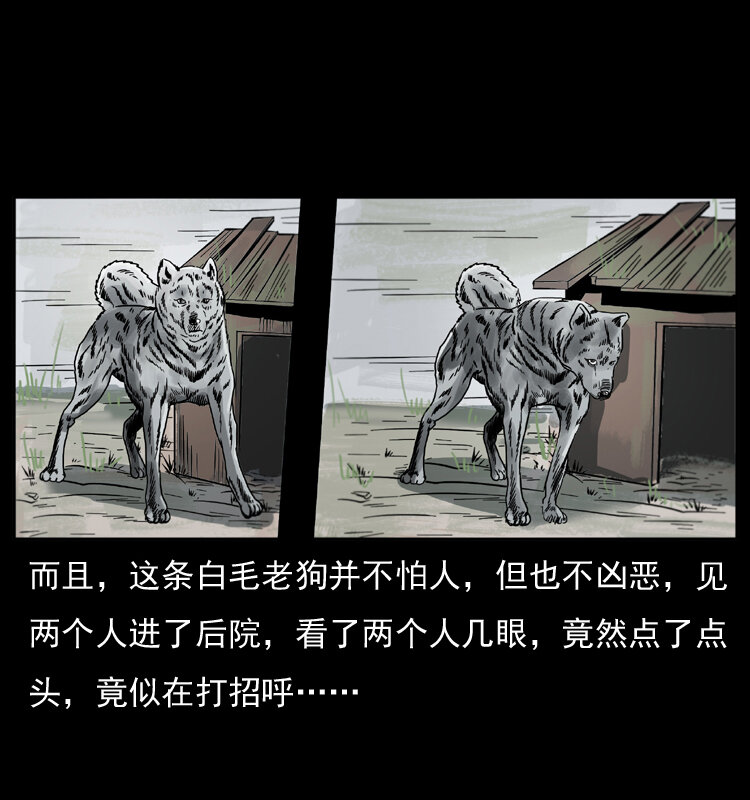 048 刨尸狗传奇121