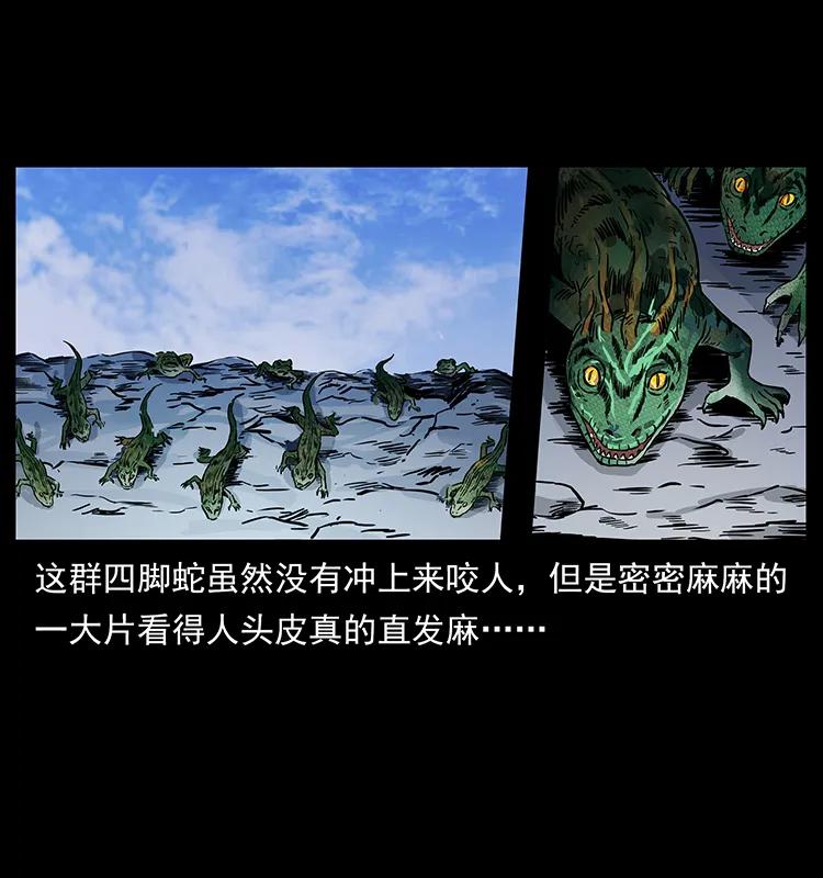274 神族的计划31