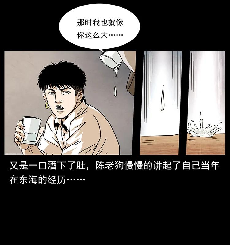 231 东海木龙11
