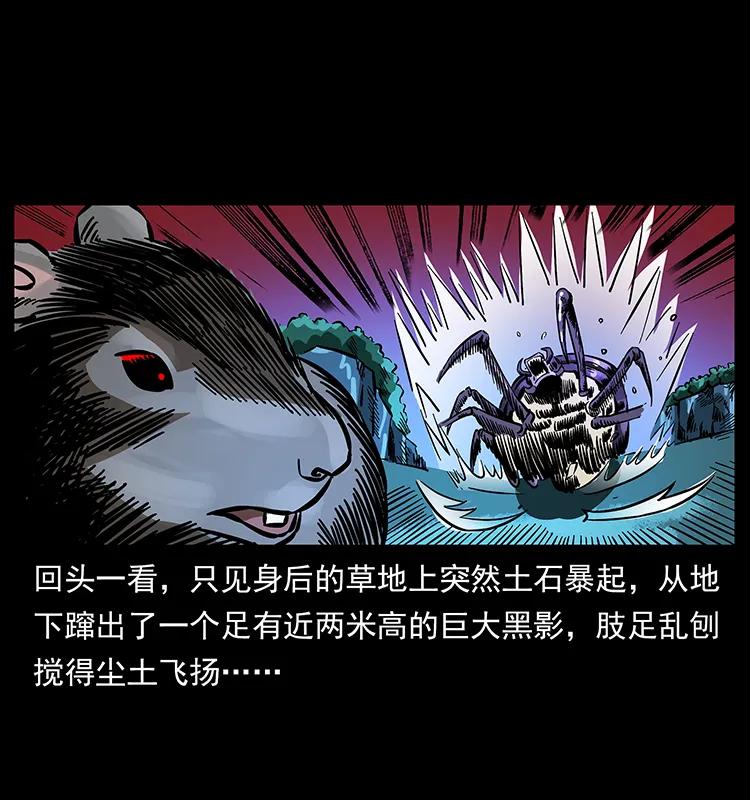 163 陈老狗下南疆10