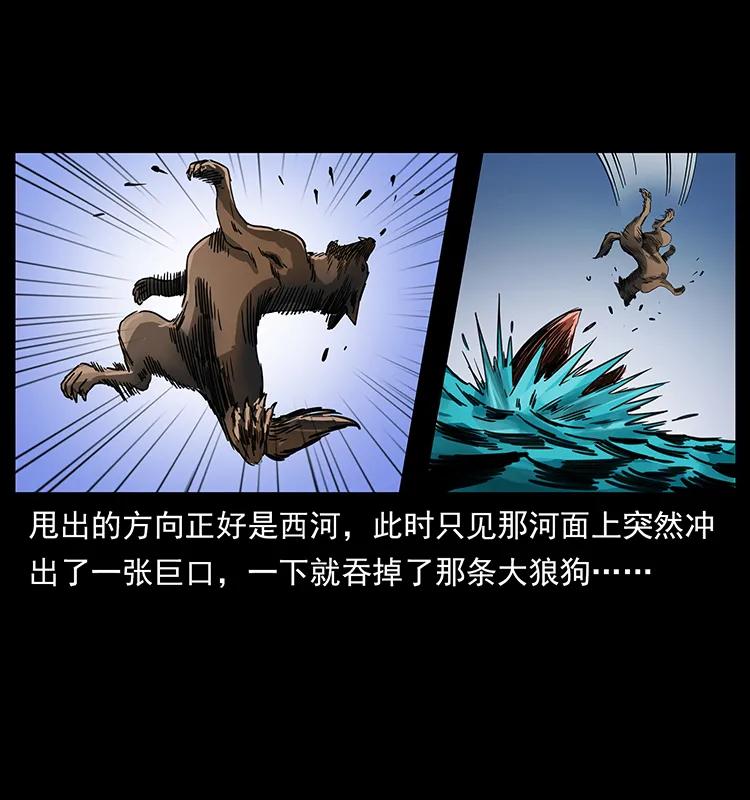258 身后的危机46