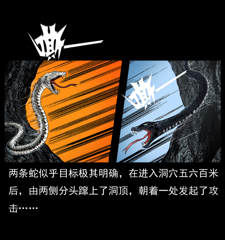 049 刨尸狗传奇23