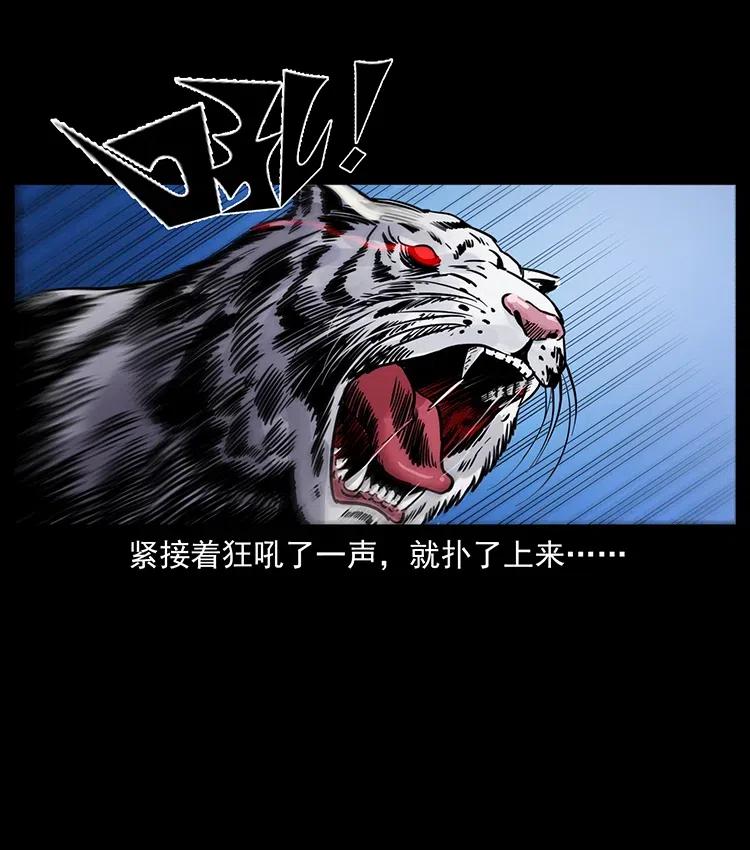 342 白毛僵尸31