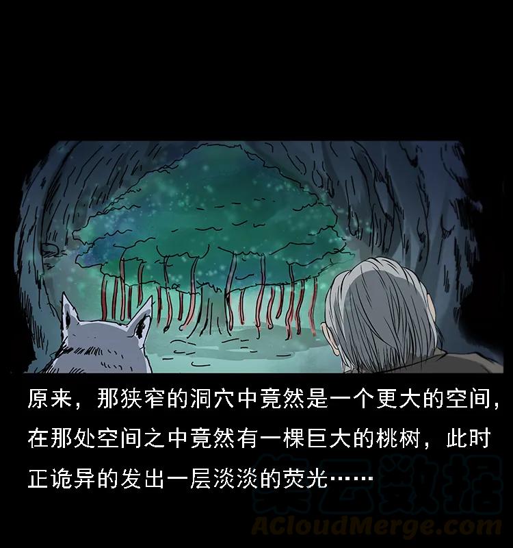 082 鬼桃树24