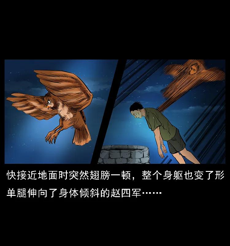 088 勾魂鸟夜枭26