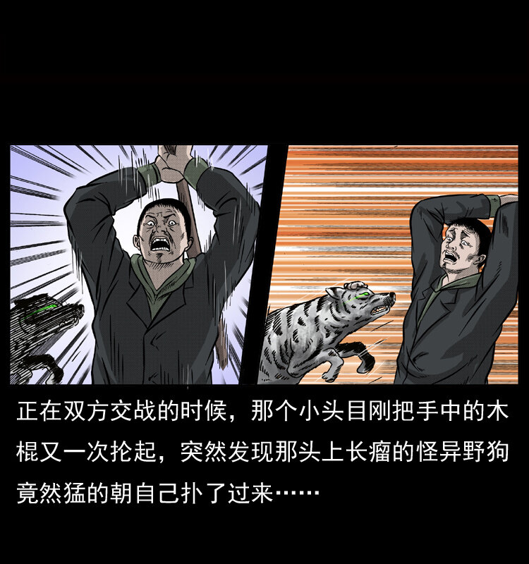 050 刨尸狗传奇334