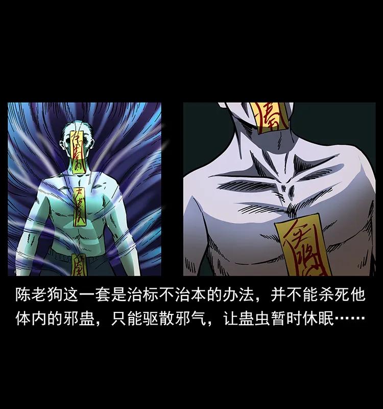 163 陈老狗下南疆35