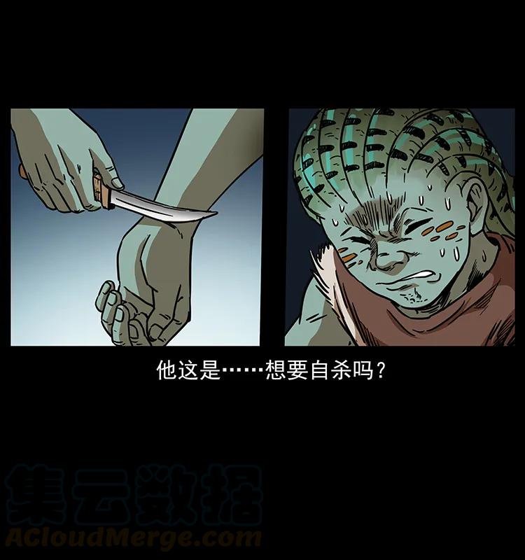 273 圈套84