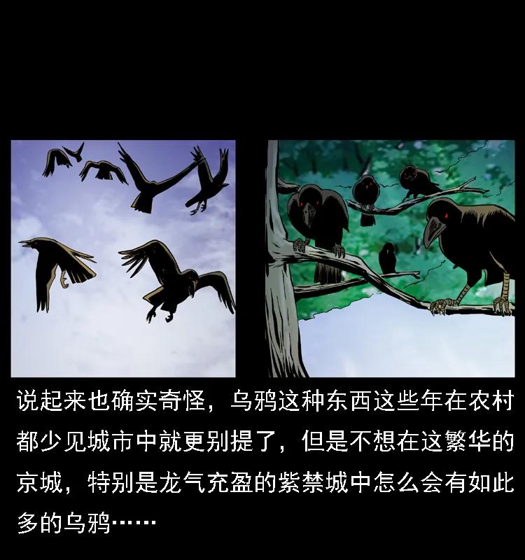 085 神仙座54