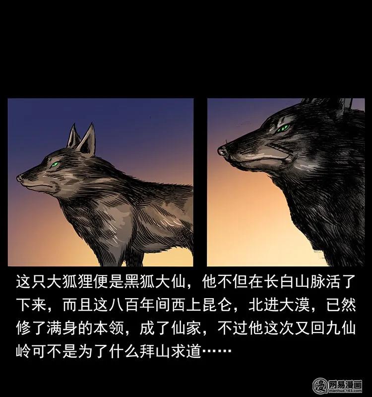142 黑狐25
