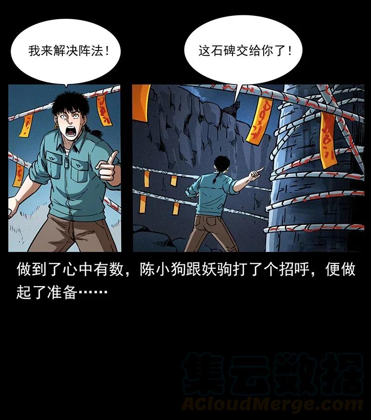 370 乌翅凤凰30