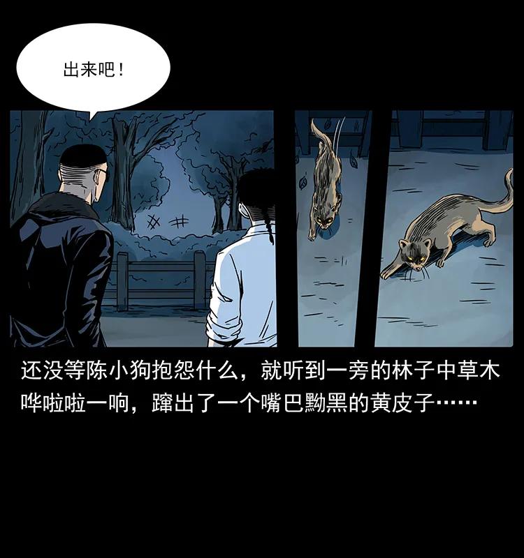 226 铁棺冢45