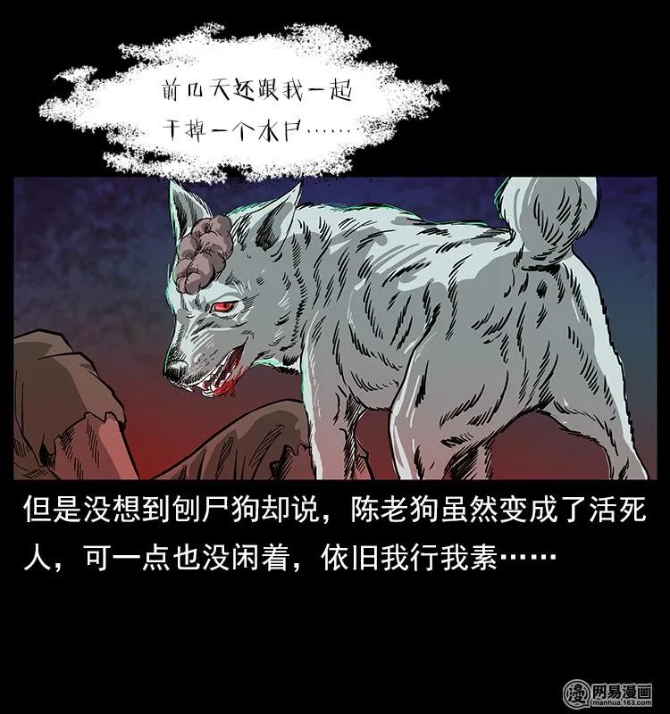118 天宝仙牌82