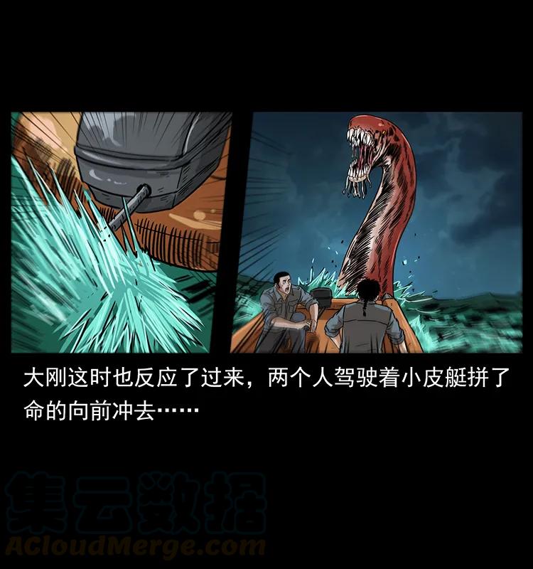 242 陈小狗失算了64