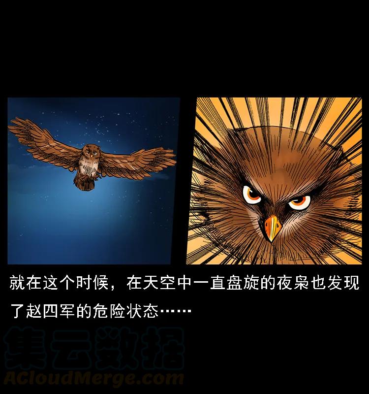 088 勾魂鸟夜枭24