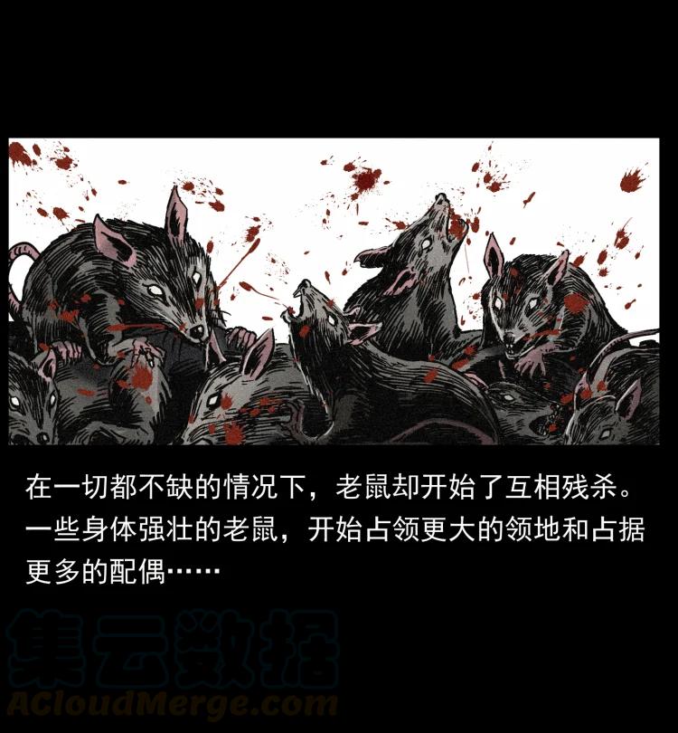 394 殇45