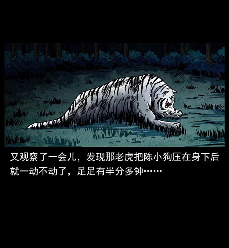 342 白毛僵尸46