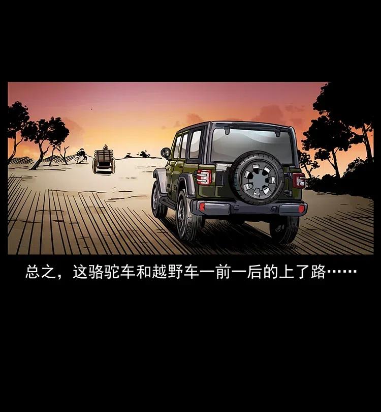 316 大漠归客30