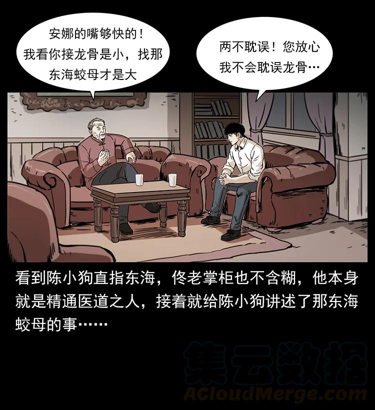 229 东海龙骨48
