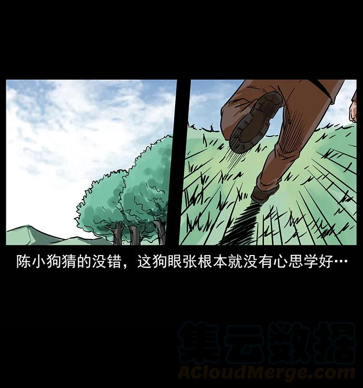 223 养鬼人56