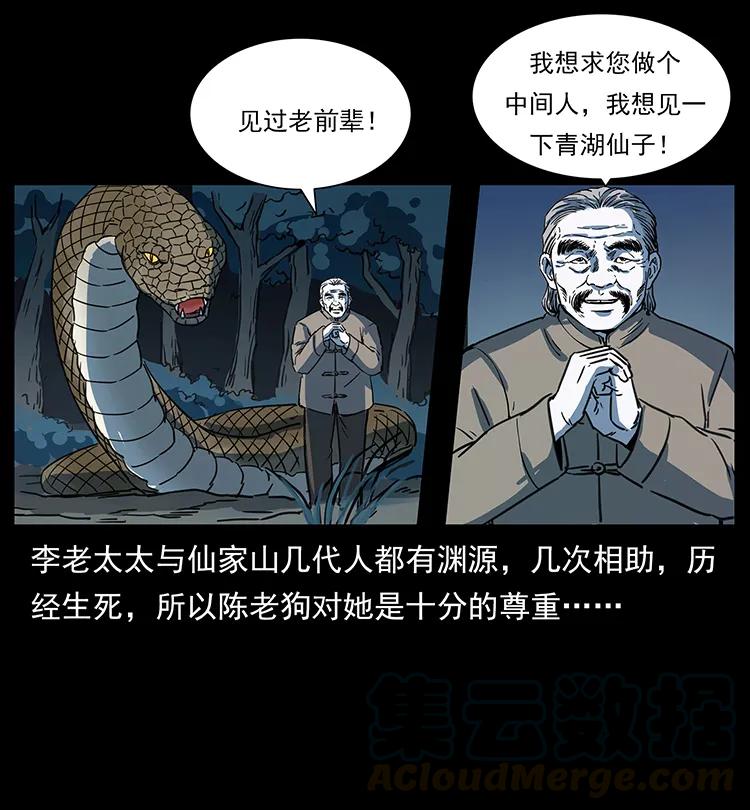 262 藏地神族52