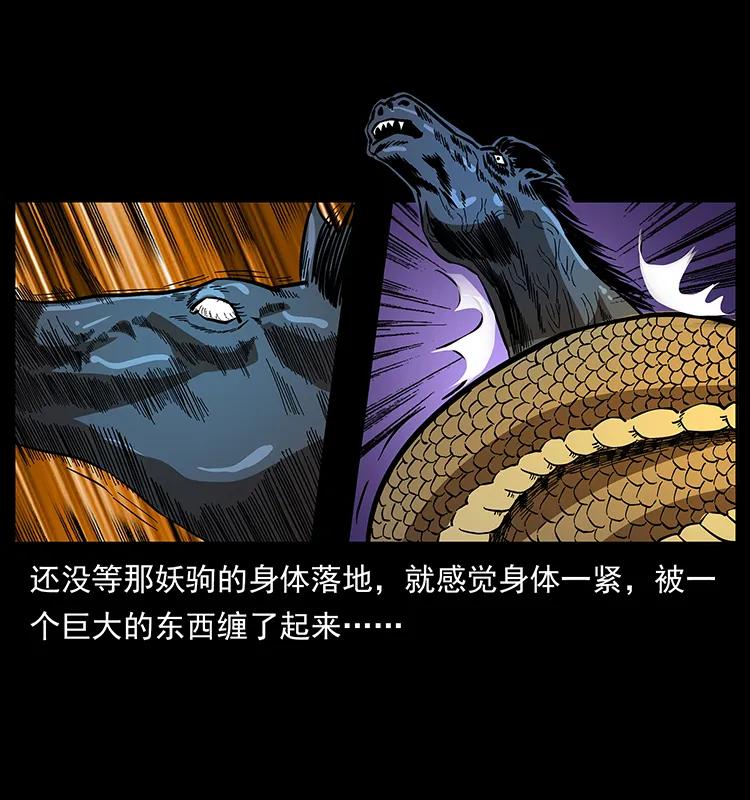 158 妖驹的选择46