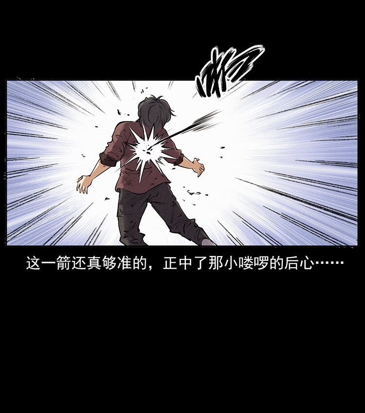外传 洛生传2 土匪，土匪7