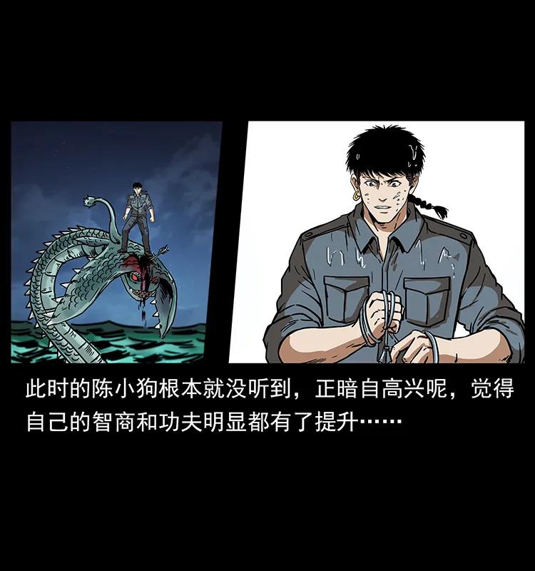 242 陈小狗失算了3