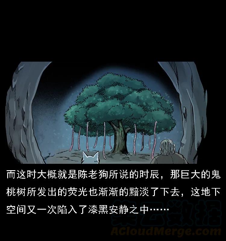 082 鬼桃树60