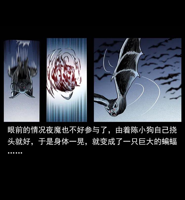 321 星图3