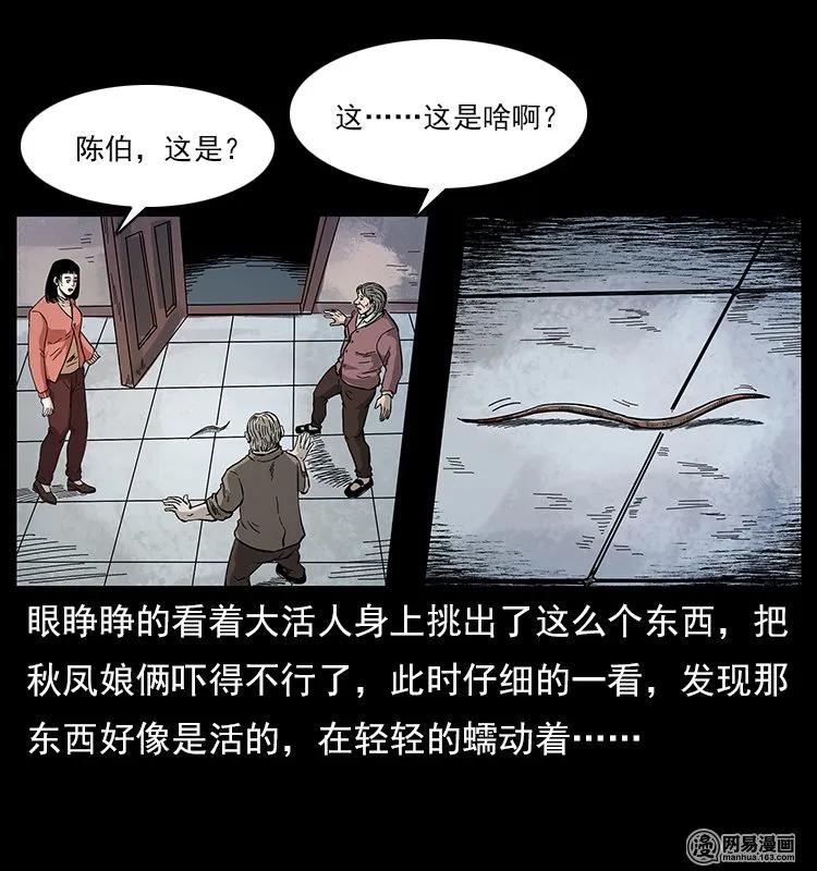 119 殃66